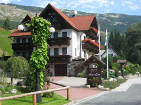 Гостиница Hotel Martin & Kristyna, Шпиндлерув Млын